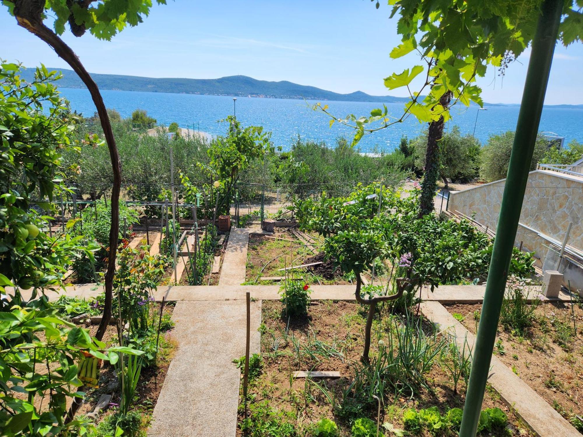 Apartament Lucija *